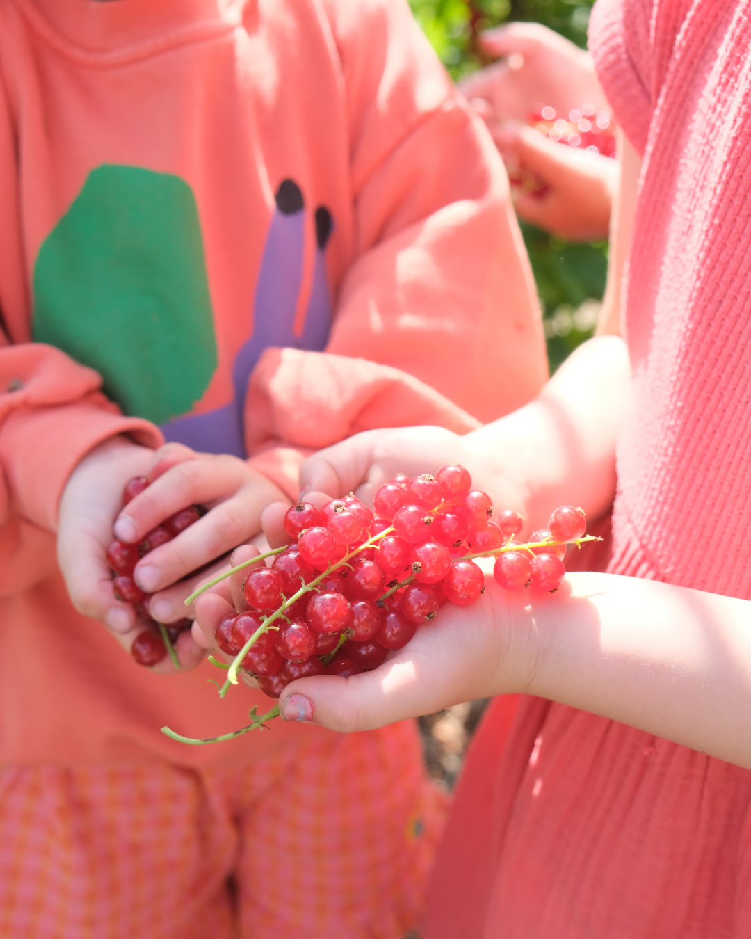 zomerkamp do 16 juli 2026: 2,5 tot 6 jaar bij Bes & Bloem Lokeren