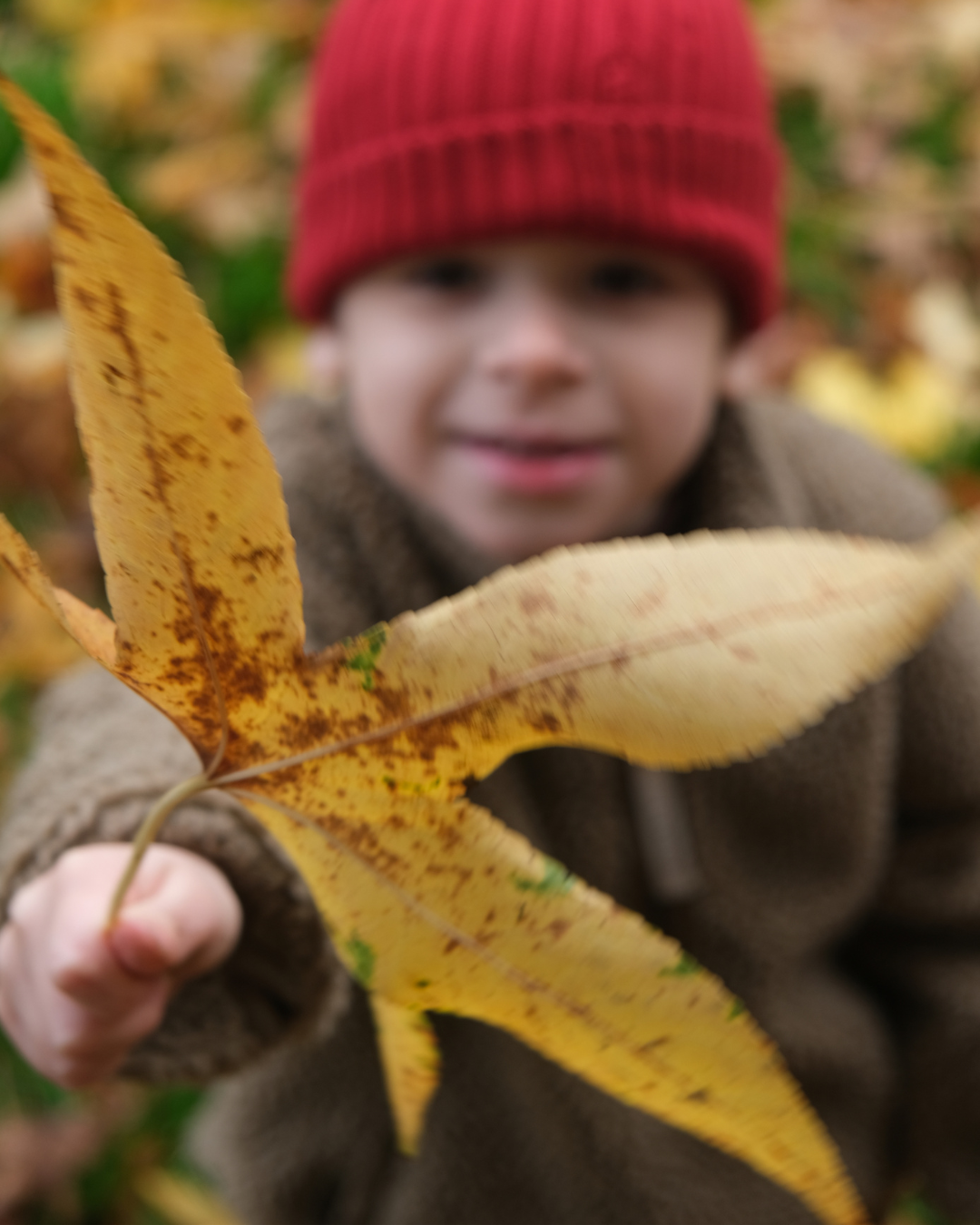 Herfstkamp ma 2/11/26: 2,5 tot 6 jaar