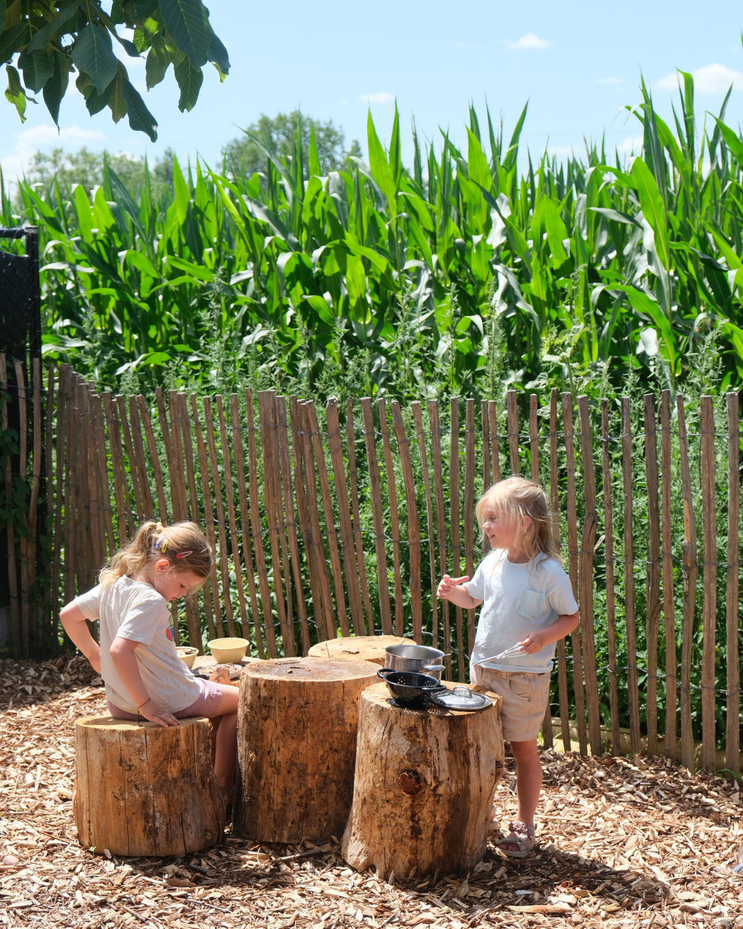zomerkamp ma 20 juli 2026: 2,5 tot 6 jaar