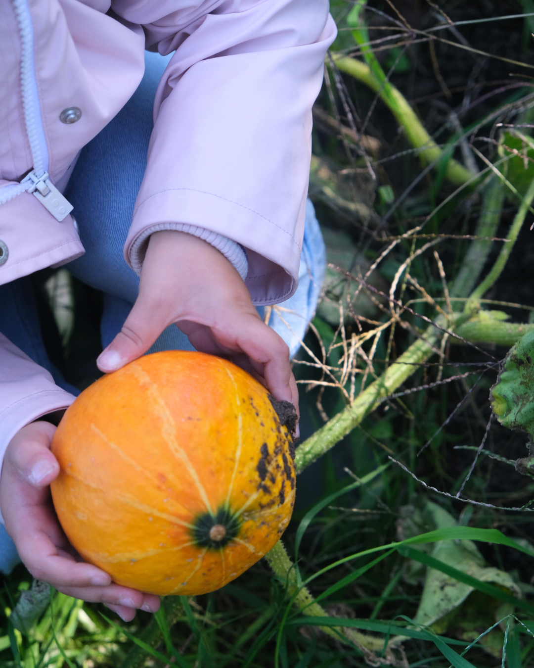 Herfstkamp di 3/11/26: 2,5 tot 6 jaar