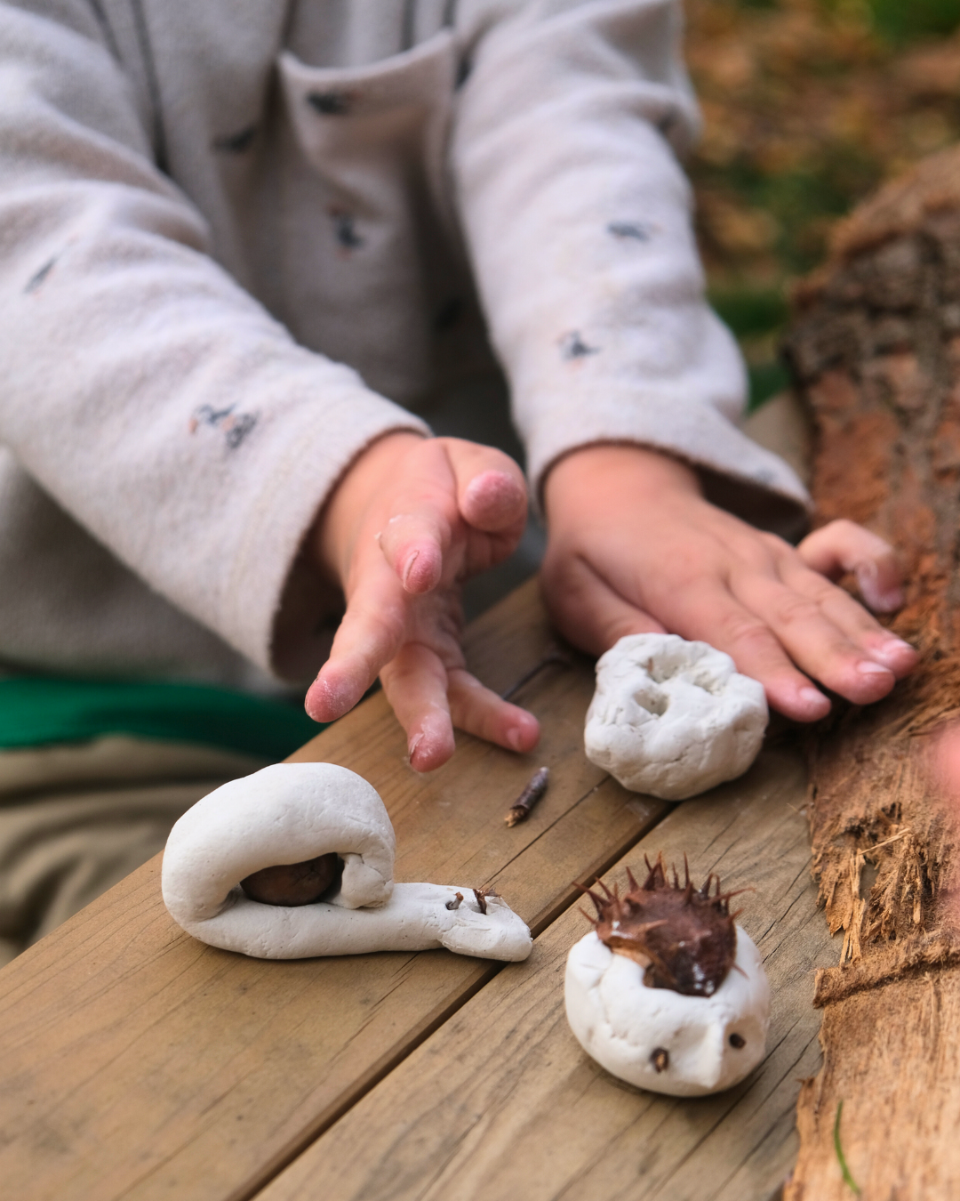 Herfstkamp do 5/11/26: 2,5 tot 6 jaar