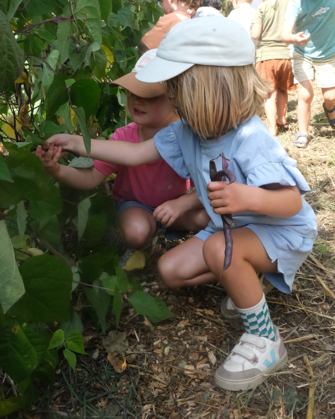 zomerkamp ma 3 aug 2026: 2,5 tot 6 jaar bij Den Tuin van Ketels (Hamme)