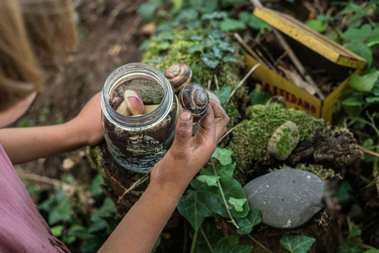 Ontdekavond 'Seizoensplezier en natuurbeleving: buiten én binnen' 20/10/25