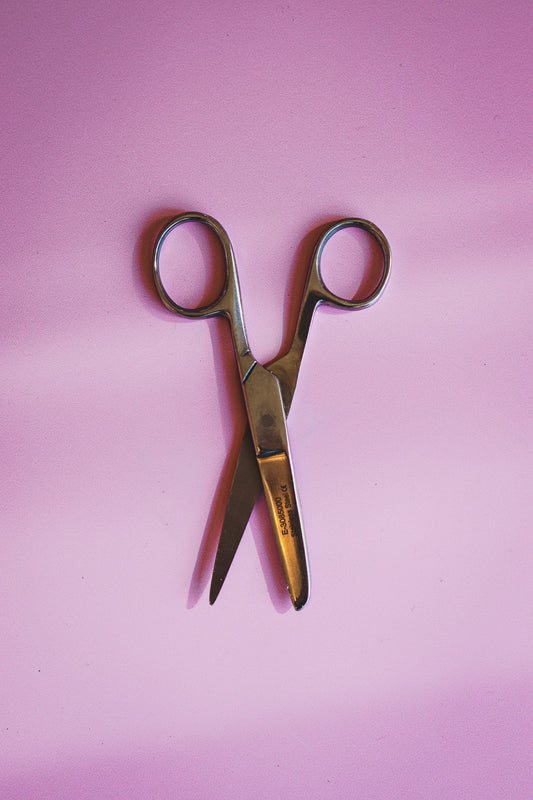 Schaar rvs - rechtshandig