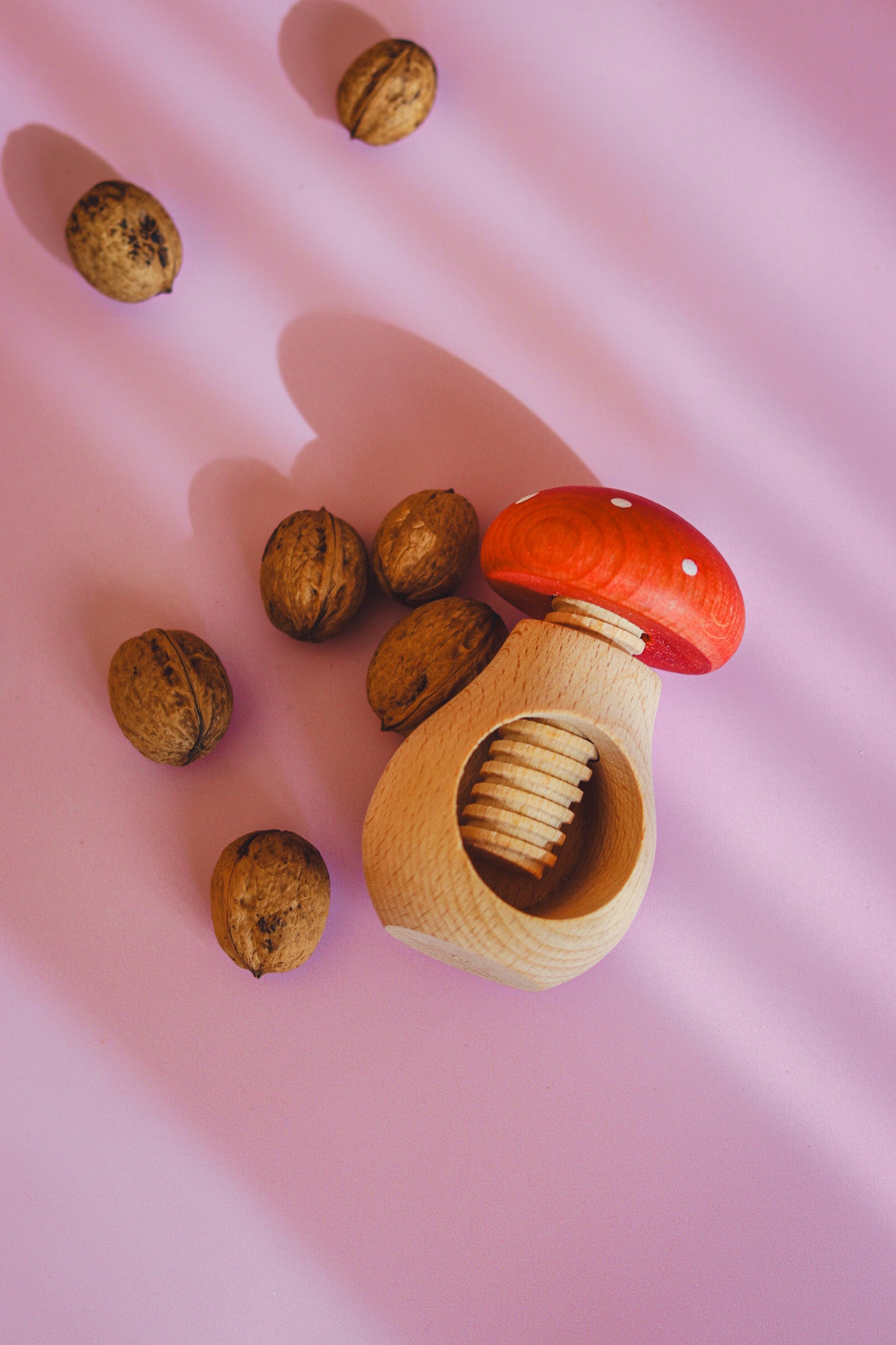 Notenkraker en kastanjehouder - vliegenzwam