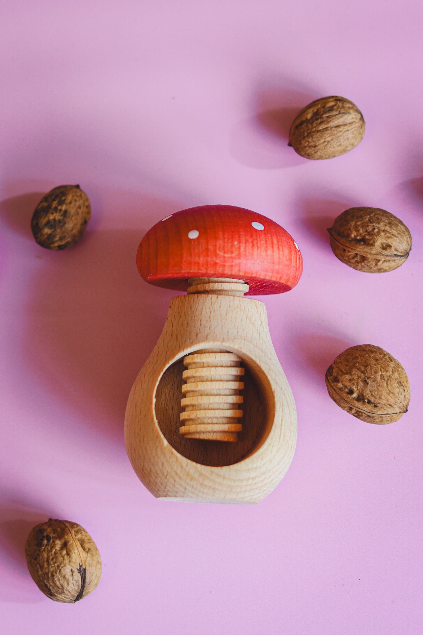 Notenkraker en kastanjehouder - vliegenzwam