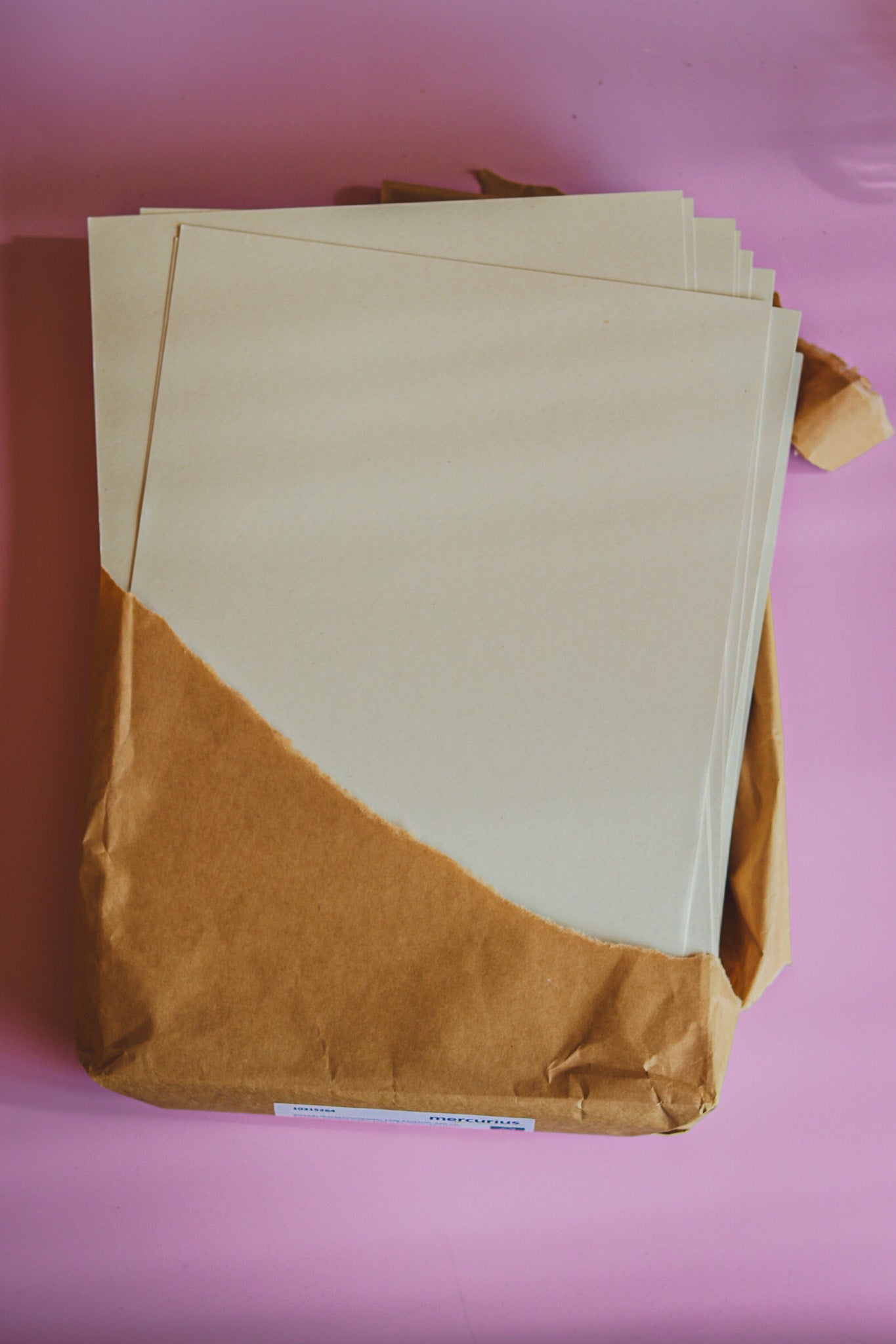 Zweeds therapeutenpapier nat-in-nat schilderen