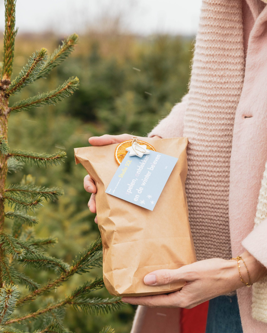 Studio SOL winterpakket