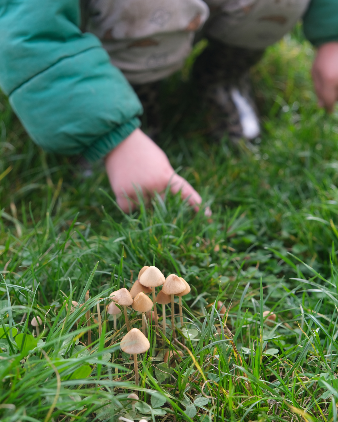 Herfstkamp vrij 6/11/26: 2,5 tot 6 jaar HALVE DAG