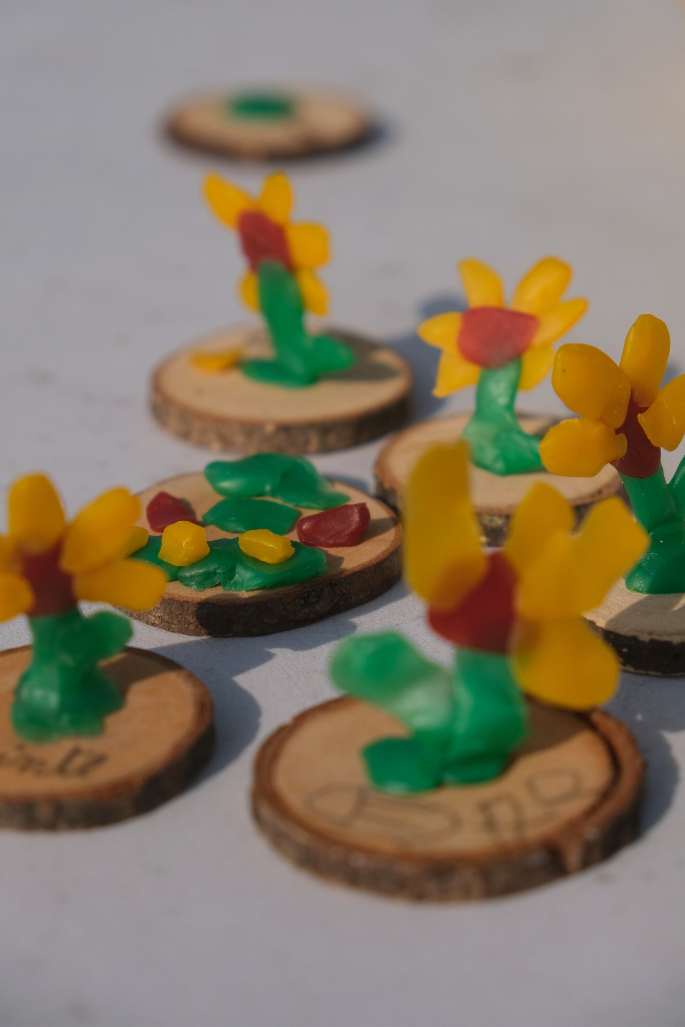 Bijenkneedwas - 6 kleuren